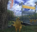 Chocobo Circuit