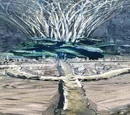 Forgotten Capital