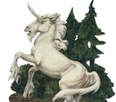 Unicorn