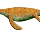 Pistosaurus