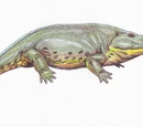 Eryopidae
