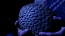 Dragon Egg.jpg