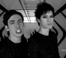 Scream