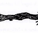 Balai volant