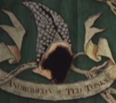 Andromeda Tonks