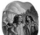 Evans family