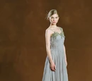 Fleur Delacour's dress robes
