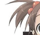 The Rampage of Haruhi Suzumiya