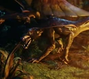 Natterwolf
