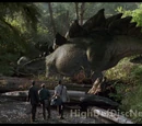 Stegosaurus