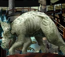 Styracosaurus