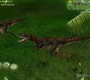 Albertosaurus