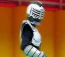 Kamen Rider Papillon