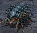 Killer Insect