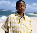 Walt Lloyd/Theories