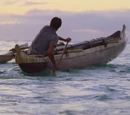 Paddle Jumper