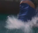 Diving Desmond