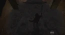 5x12 Surrounded.png
