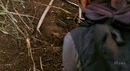 4x10 MilesFromTheGrave.jpg