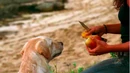 2x11-fruit-ana-vincent.jpg