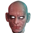 Disguise Mask
