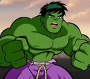 Robert Bruce Banner (Tierra-91119)