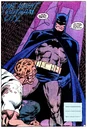 Batman 0624.jpg