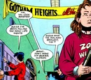 Gotham Heights