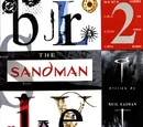Sandman Vol 2 42