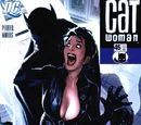 Catwoman Vol 3 45