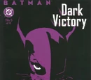 Batman: Dark Victory Vol 1 5