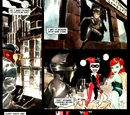 Lil Gotham/Gallery