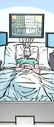Moneyspider 004.jpg