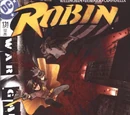 Robin Vol 4 131