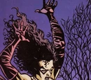 Selina Kyle (Two Faces)