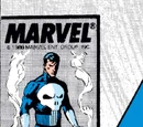 Punisher Vol 2 10