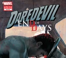 Daredevil: End of Days Vol 1 5