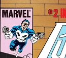 Punisher Vol 1 2