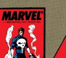Punisher Vol 2 18