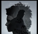 The Girl with the Dragon Tattoo (2011 movie)