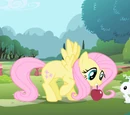 List of ponies/Pegasus ponies