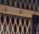 The Birdman
