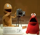 Wilkins and Wontkins
