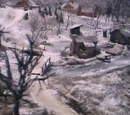 Frogtown Hollow