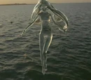 Naiad
