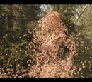 Dryad