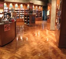 Magic & Mystics Bookstore