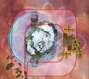 Pocket D
