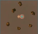 Ouroboros