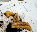 Crackergate